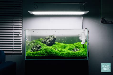 ada aquascape|freshwater aquarium aquascaping.